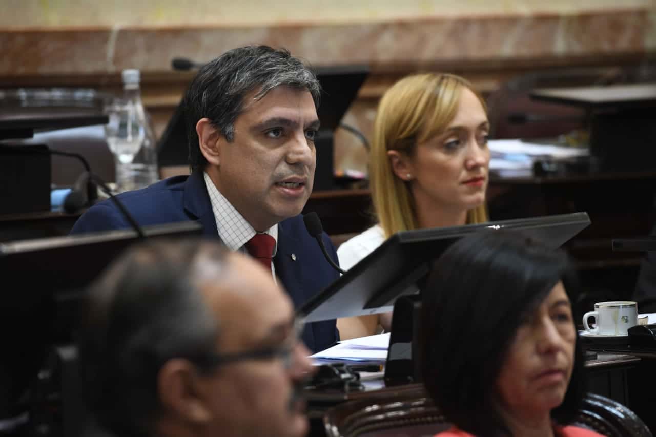 El Senador Matías Rodríguez propone extender la 19640 hasta el año 2073