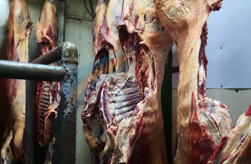 Nuevamente robaron importante cantidad de carne vacuna en el matadero municipal