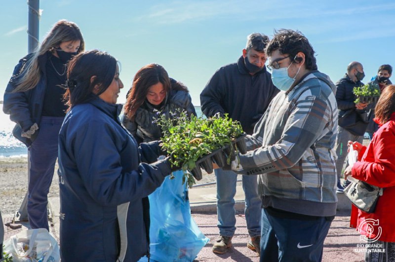 El Municipio sumó un día más de entrega de plantines