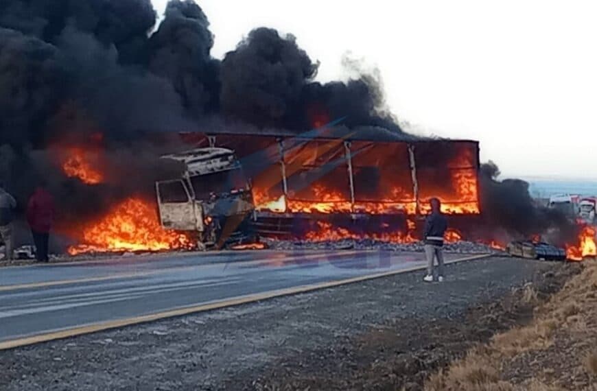 Un camión que salió de la isla se incendió en la ruta chilena