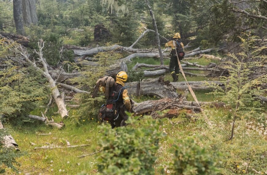 Estado de situación en el incendio de la reserva Corazón de la Isla: Se trabajó en dos puntos con actividad de llama