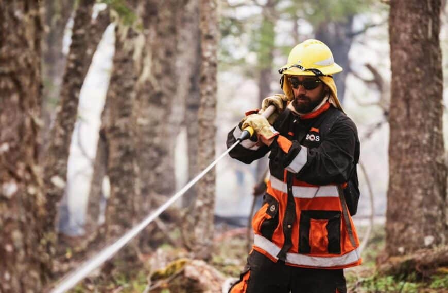 Estado de situación del incendio en la reserva Corazón de la Isla: Se trabajó sobre distintos puntos calientes