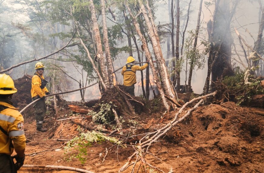 Estado del incendio en la reserva Corazón de la Isla: Se trabajó en un sector para sofocar el fuego