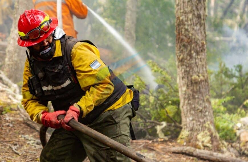 Estado de situación del incendio en la reserva Corazón de la Isla: Continúan los trabajos de extinción