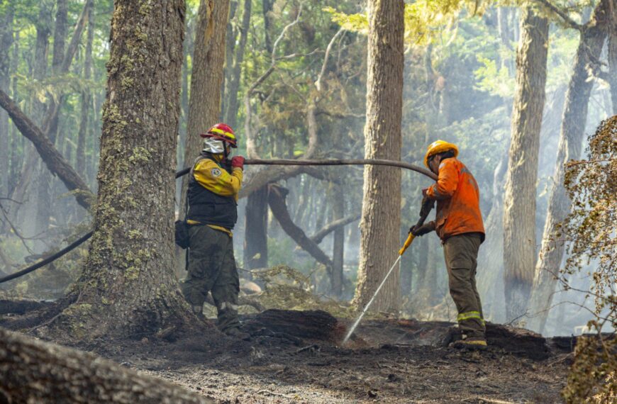 Estado de situación del incendio en la reserva Corazón de la Isla: Continuarán trabajando en la extinción de puntos calientes