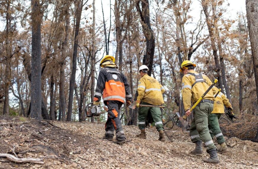 “Creemos que falta muy poco para extinguir el incendio en la reserva Corazón de la Isla”