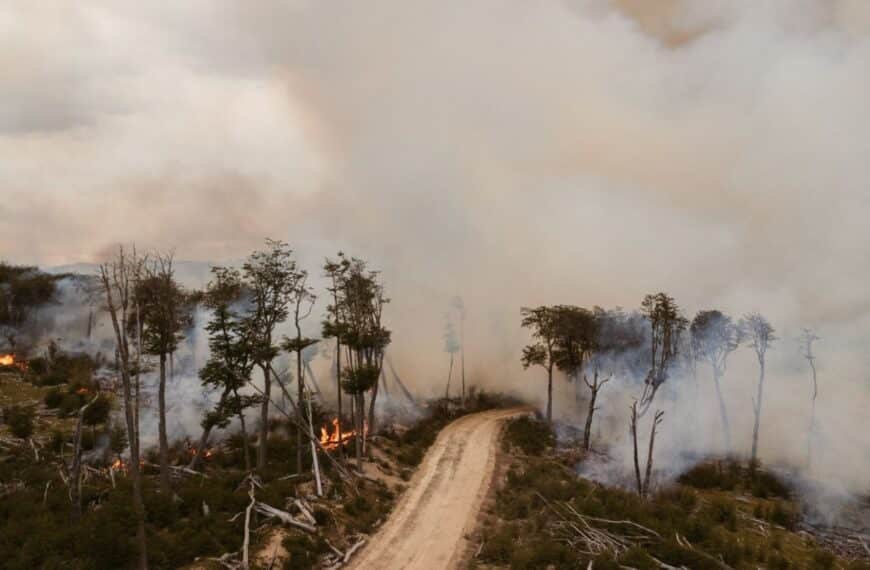 El Ministerio de Producción y Ambiente advierte sobre la alerta amarilla por incendios forestales