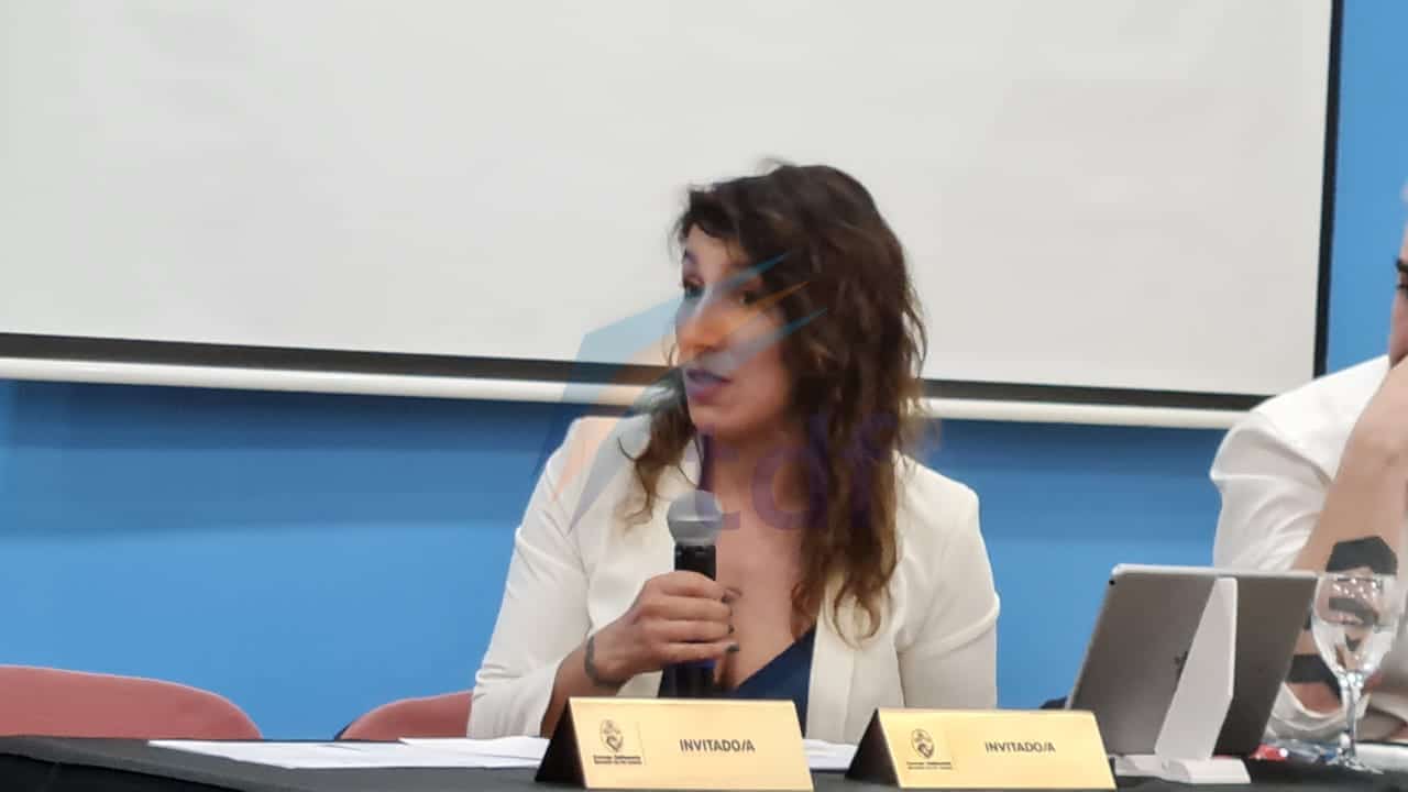 Silvina Mónaco: «Todo el trabajo es de más de 700 metros lineales y mientras el clima acompañe se podrá trabajar de manera normal»