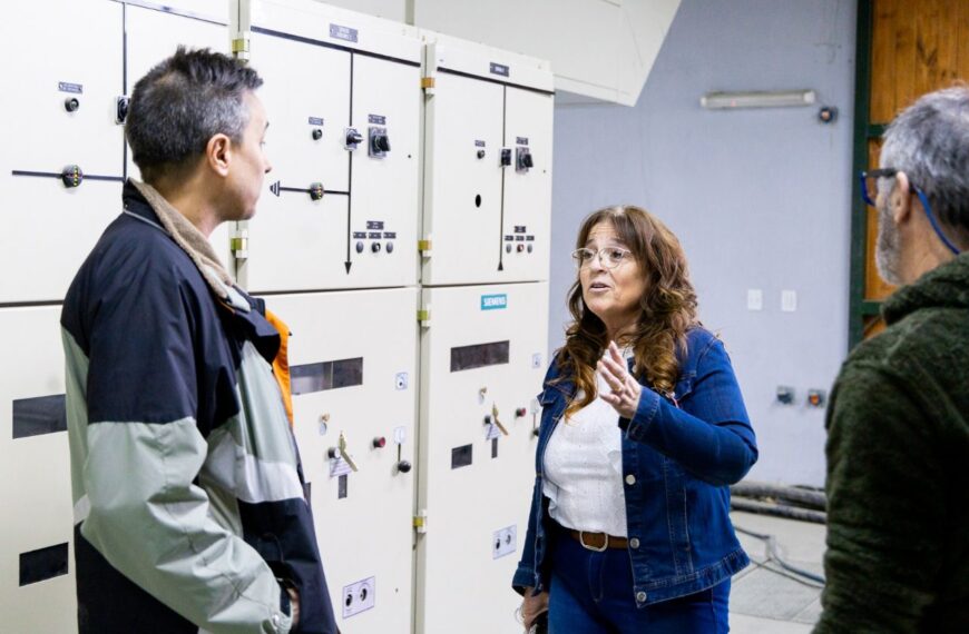 Gobierno comenzó el diagnóstico de la obra en la central térmica y del centro de distribución torelli de Ushuaia