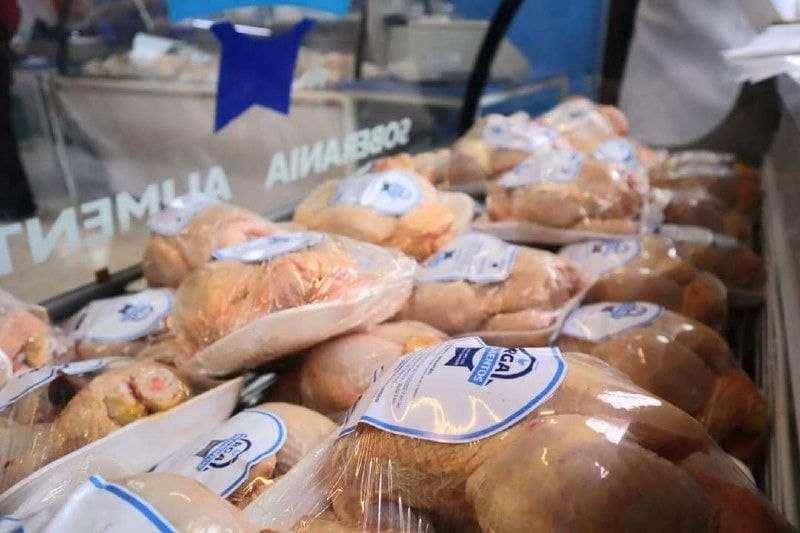 Este fin de semana salen a la venta pollos de producción local RGA