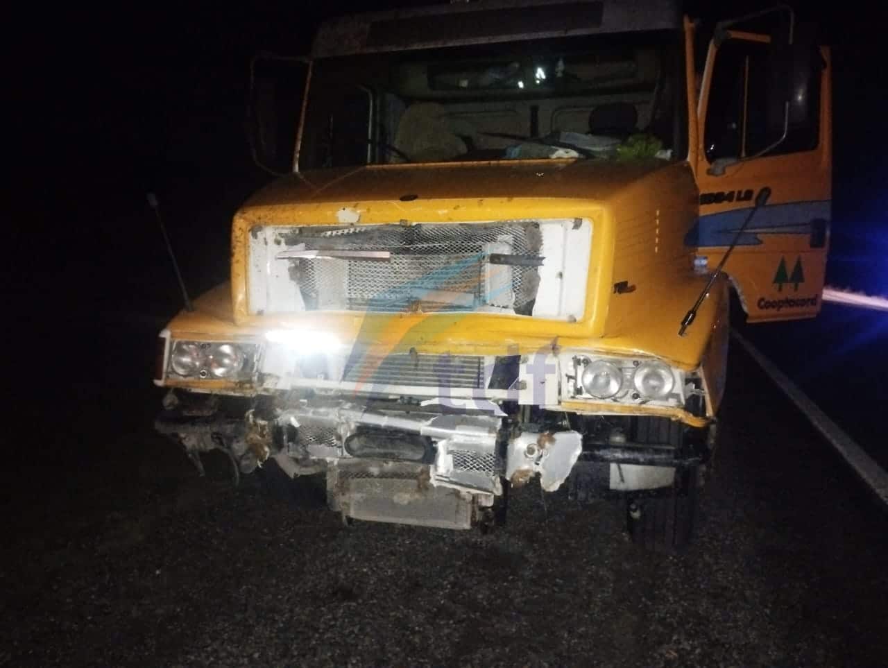 Camionero chocó con un vacuno sobre la ruta 3