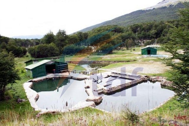 La causa por el desalojo de las termas de Río Valdéz pasó al Superior Tribunal de Justicia