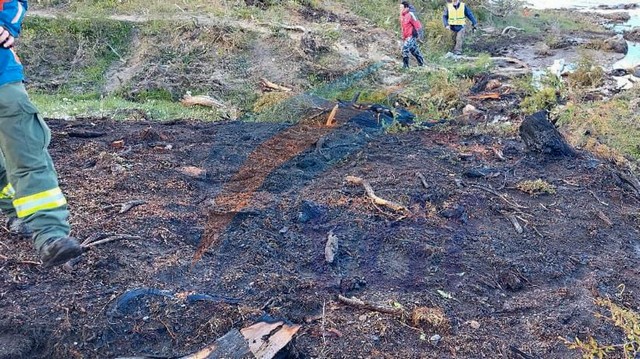 Tres alambradores identificados como los responsables del principio de incendio forestal en Yehuin