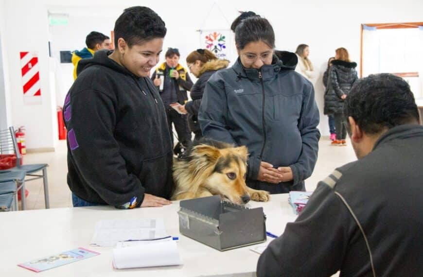 Nueva jornada de vacunación antirrábica para mascotas en Río Grande