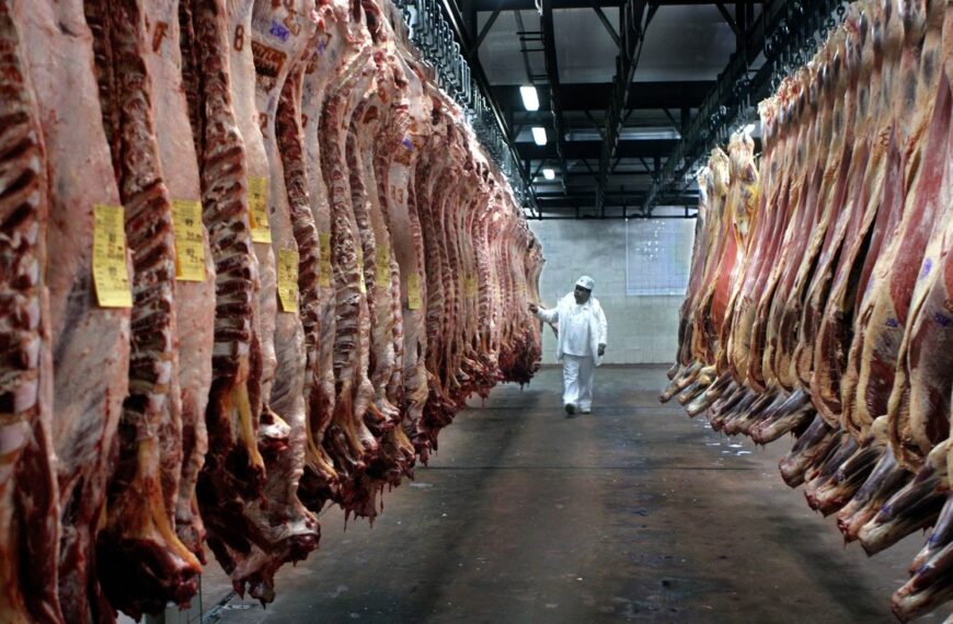 Después de 24 años, el Gobierno permitió el ingreso de carne con hueso a la Patagonia