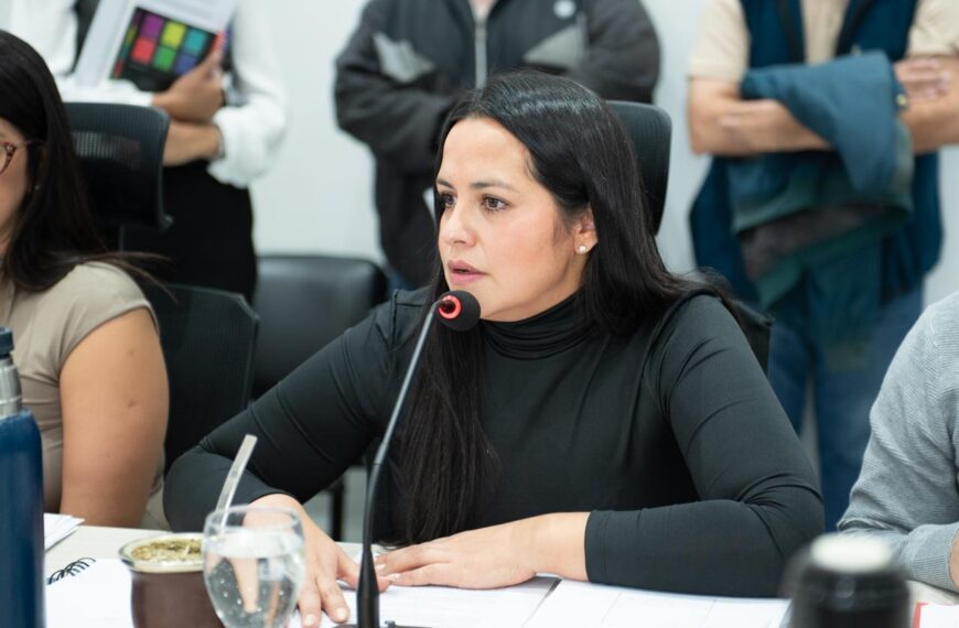 Arce propone desafectar un espacio verde en la zona sur para impulsar la producción local