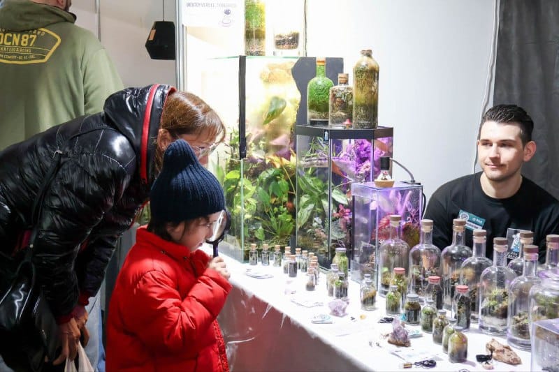 Este sábado 14 comienza la 1° «Expo Emprender desde el Sur»