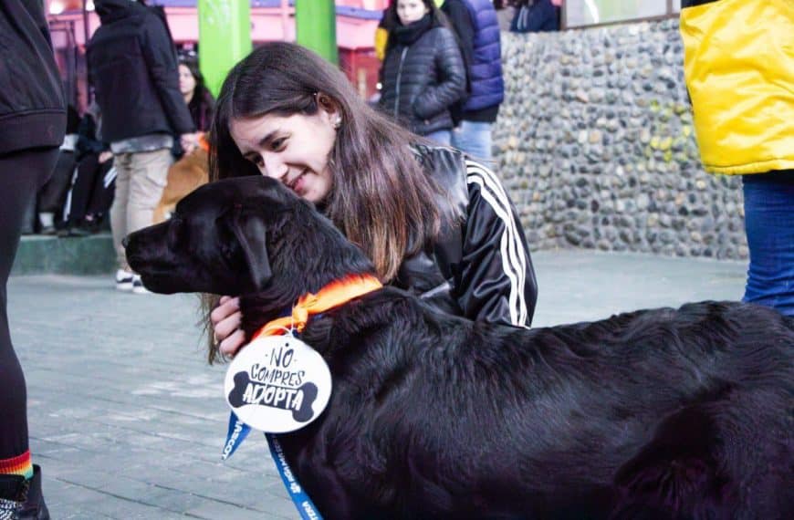 Nueva jornada de adopción en Río Grande