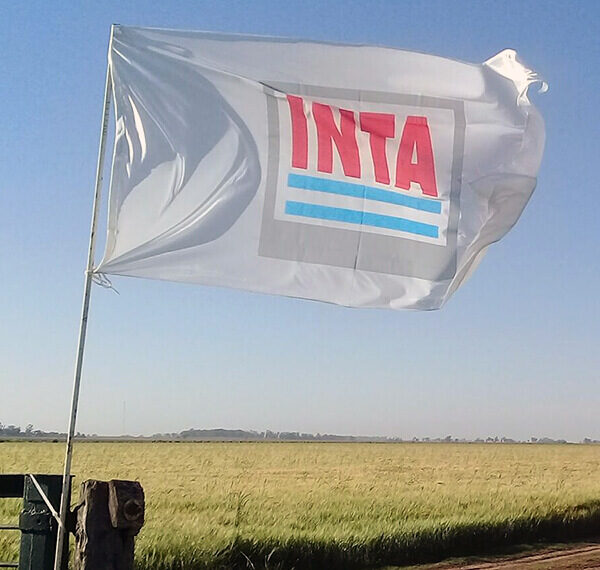 El gobierno de Javier Milei transformó el INTI y el INTA y pasarán a estar en la órbita de otros organismos