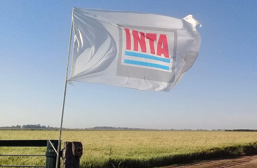 El gobierno de Javier Milei transformó el INTI y el INTA y pasarán a estar en la órbita de otros organismos