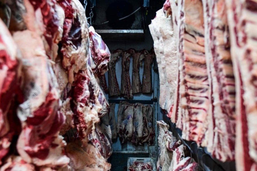 Carne con hueso y riesgo sanitario: lo que está en juego para Tierra del Fuego