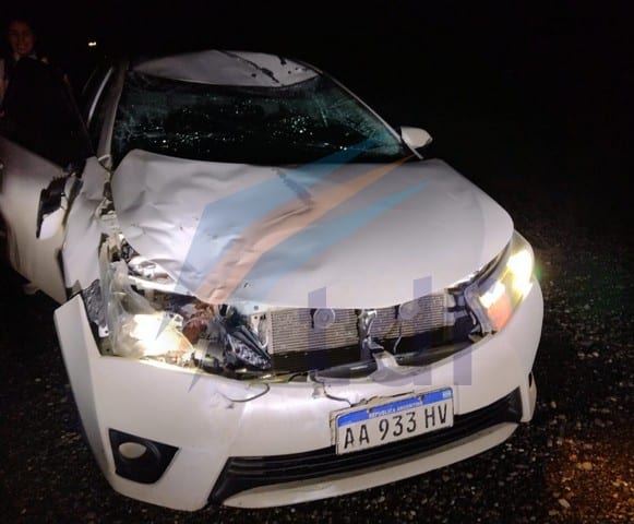 Un automóvil impactó contra un guanaco en ruta 3