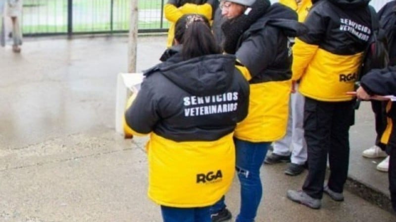 El municipio de Río Grande intervino en una vivienda donde había perros hacinados