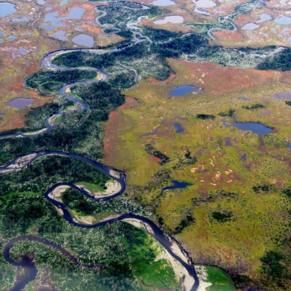 Se habilitó la temporada de visitas al Área Natural Protegida Península Mitre