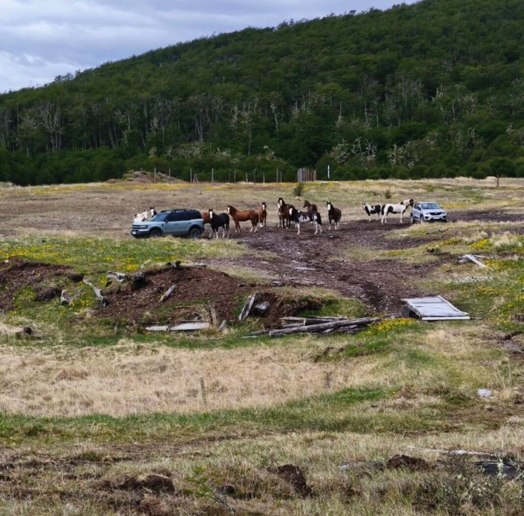 WhatsApp Image 2025-11-17 at 23.34.28 (2)