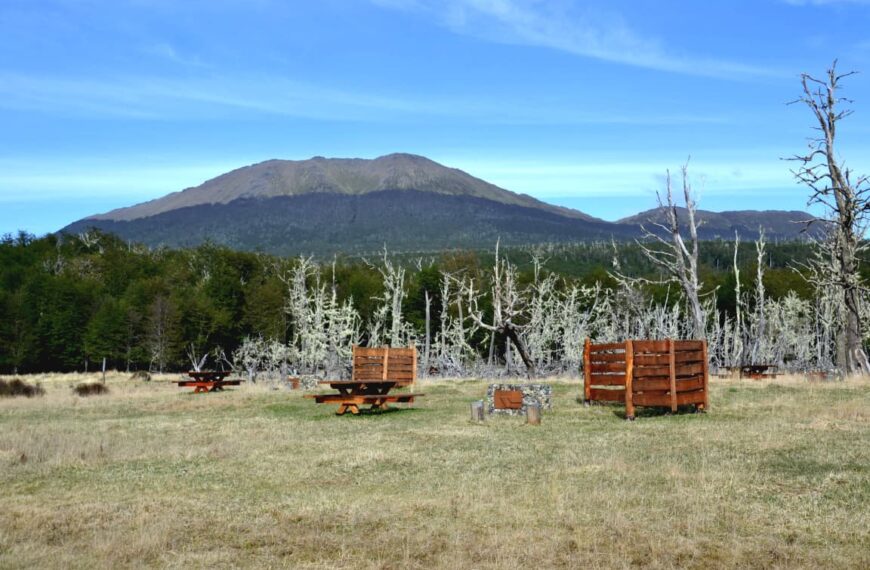 Avanzan las acciones de restauración y mejora en la Reserva Provincial Corazón de la Isla