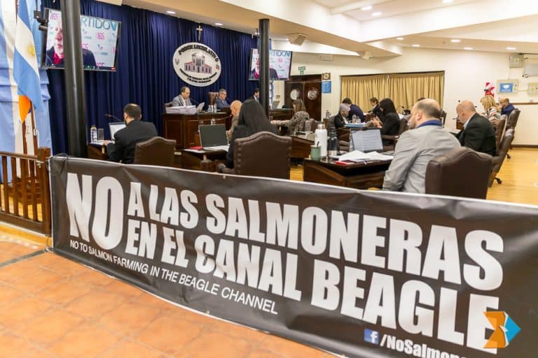 Salmoneras Legislatura