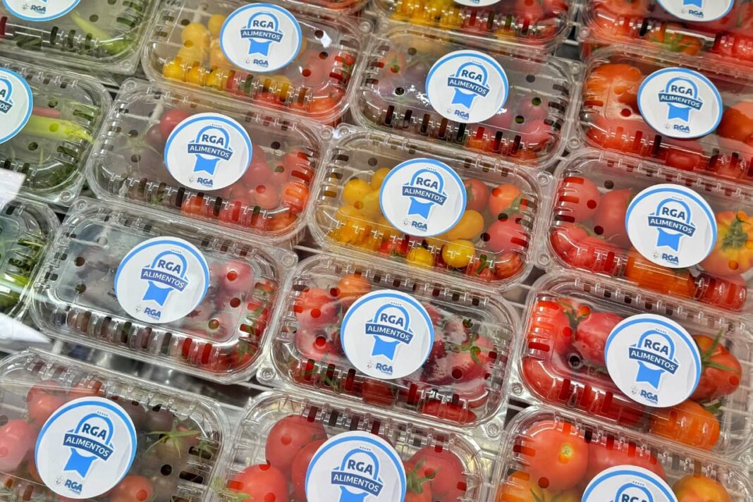 WhatsApp Image 2025-11-28 at 03.33.18