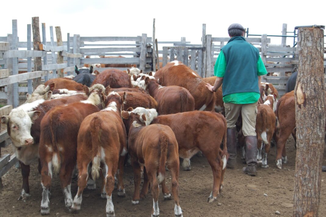 registro agropecuario