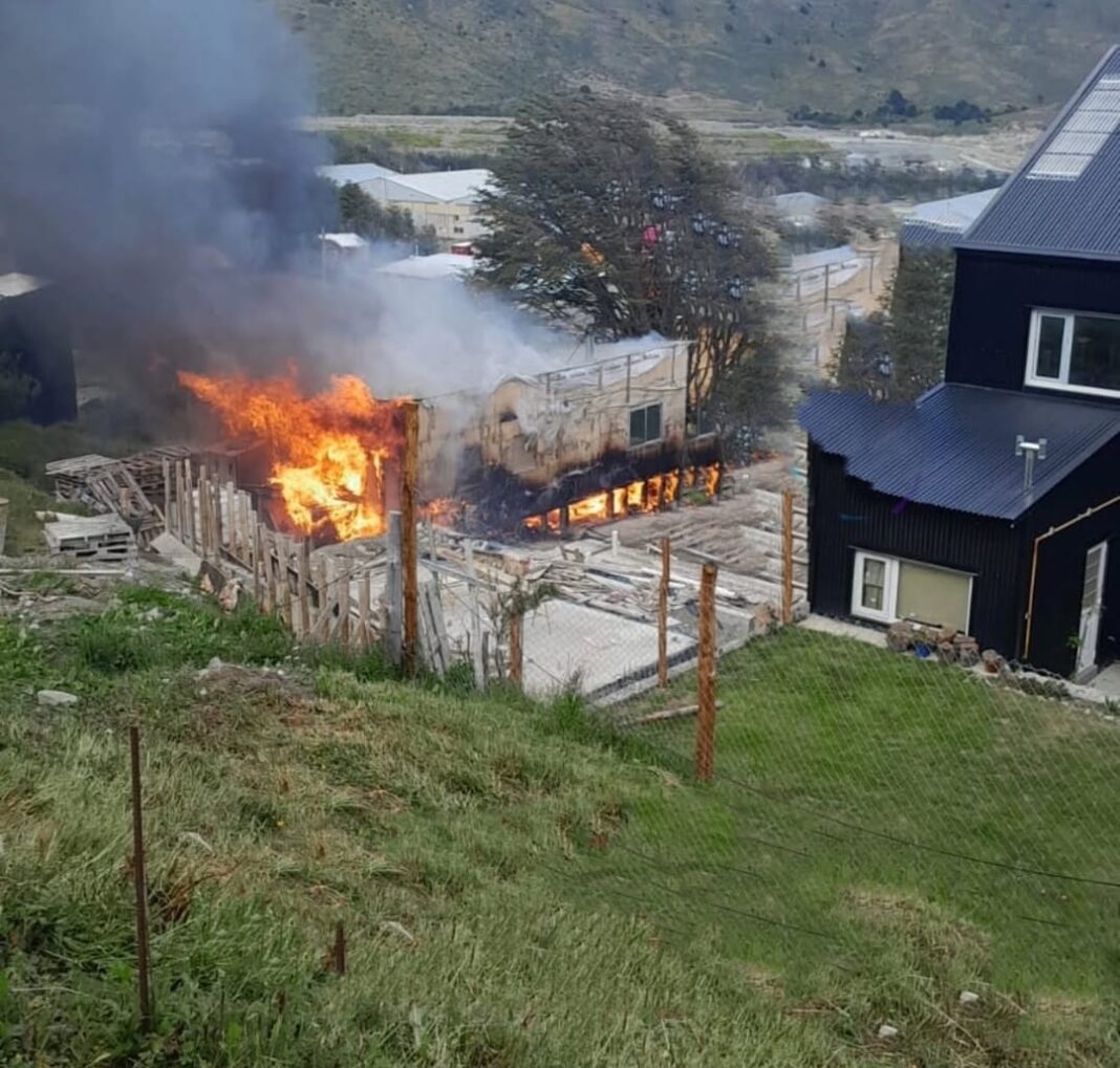 WhatsApp Image 2026-01-28 at 04.22.33