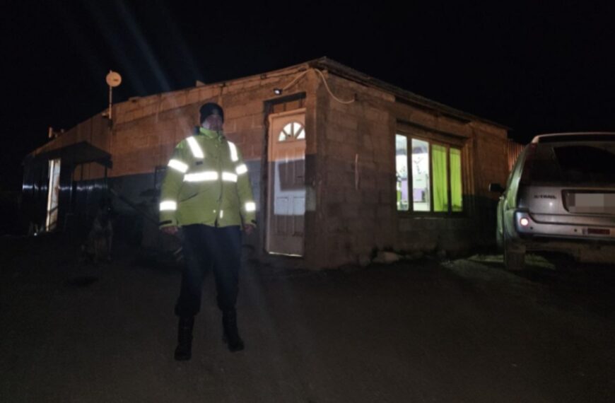 Mataron a un perro de un disparo y otro resultó herido en la margen sur: Hay un imputado