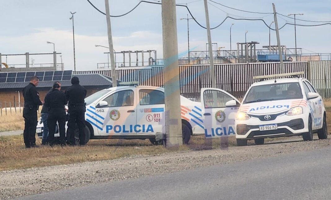 WhatsApp Image 2026-02-25 at 04.55.03